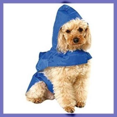 ropa para perros pequeños ropa para perros pequeños