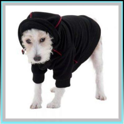 abrigos para perros pequeños abrigos para perros pequeños