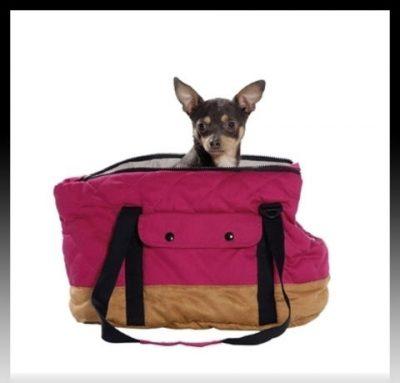 complementos para perros pequeños complementos para perros pequeños