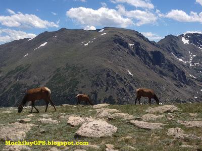 Parque Nacional de las Montañas Rocosas (Viaje por el Noroeste de los EEUU VIII)