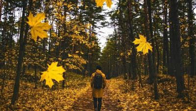 Caminar a diario cambiará tu vida para siempre Caminar a diario cambiará tu vida para siempre