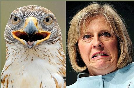 EL Inodoro de Trum , el Cerdiloco  de Putin, y el pájaro de Theresa May  Brexis