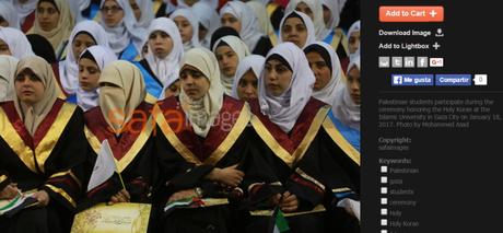 ¿Crisis humanitaria en Gaza? No lo parece (bis). ¿Crisis humanitaria en Gaza? No lo parece (bis).