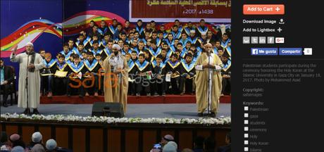 ¿Crisis humanitaria en Gaza? No lo parece (bis). ¿Crisis humanitaria en Gaza? No lo parece (bis).