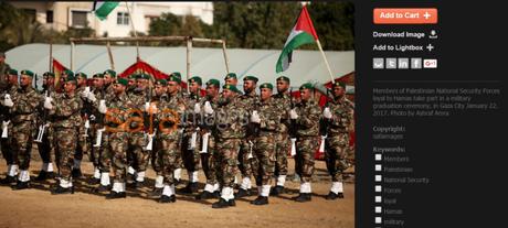 ¿Crisis humanitaria en Gaza? No lo parece. ¿Crisis humanitaria en Gaza? No lo parece.