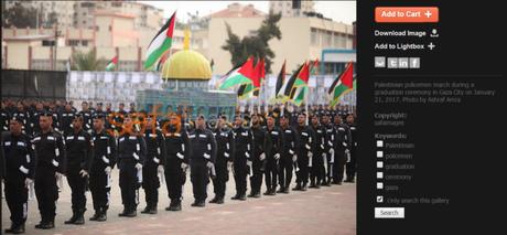 ¿Crisis humanitaria en Gaza? No lo parece. ¿Crisis humanitaria en Gaza? No lo parece.