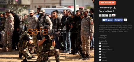 ¿Crisis humanitaria en Gaza? No lo parece. ¿Crisis humanitaria en Gaza? No lo parece.