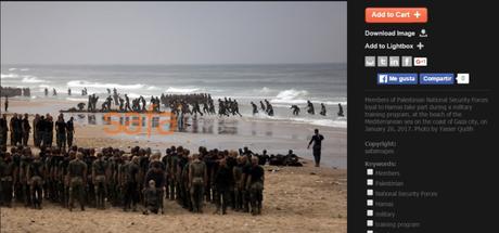 ¿Crisis humanitaria en Gaza? No lo parece. ¿Crisis humanitaria en Gaza? No lo parece.