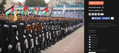 ¿Crisis humanitaria en Gaza? No lo parece. ¿Crisis humanitaria en Gaza? No lo parece.