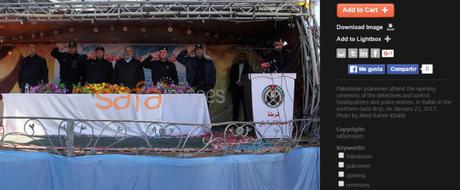 ¿Crisis humanitaria en Gaza? No lo parece. ¿Crisis humanitaria en Gaza? No lo parece.