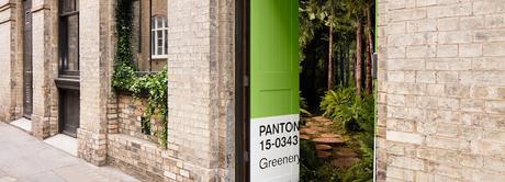 Pantone Greenery + Airbnb