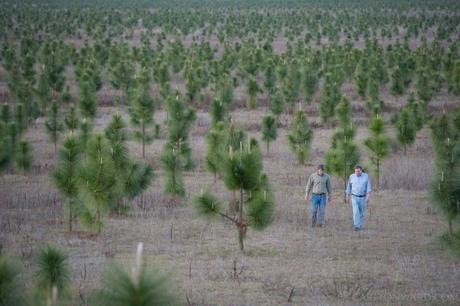 La historia asombrosa de un hombre que gastó $ 90 millones para salvar la naturaleza