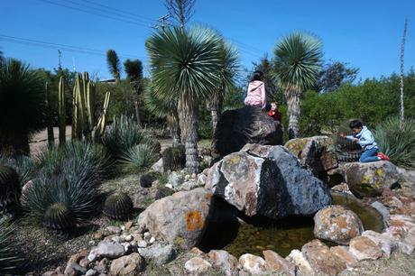 San Miguel de Allende: El poder de seducción de una ciudad colonial charco-ingenio-sanmiguel