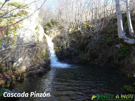 Cascada en el Río Pinzón