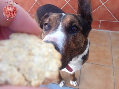 Galletas para perro