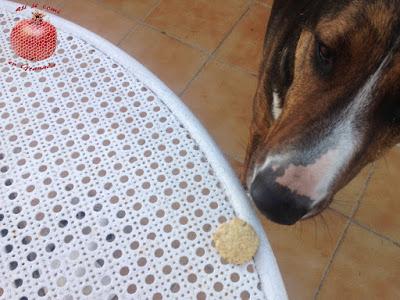 Galletas para perro