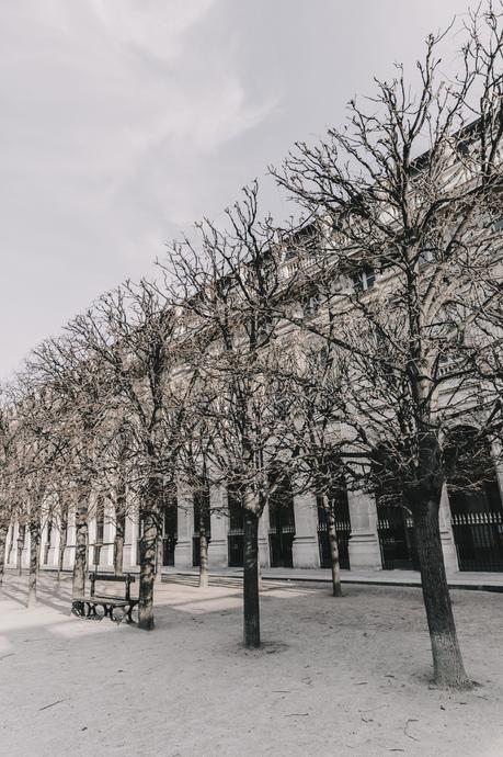 Palais Royal Palais Royal