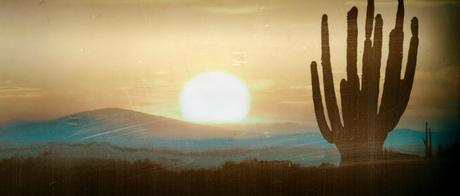 The Hollow Point - 2016 The Hollow Point - 2016