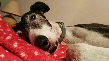 Wenders + von Trier + Vilma + Paul Weller + Future Islands Wenders + von Trier + Vilma + Paul Weller + Future Islands