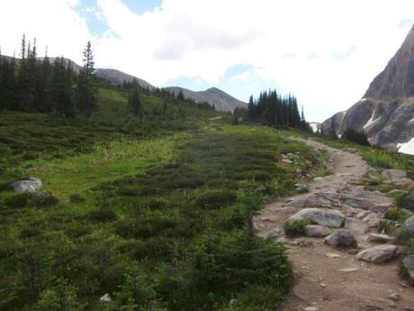 Canadá: (Día 8) Qué ver en el Parque Nacional de Jasper