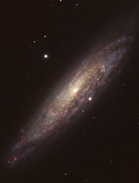 ✨La galaxia espiral trenzada NGC 134