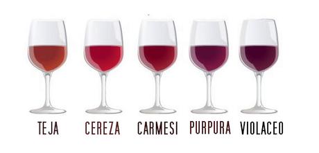 El color del vino Colores del vino Tinto