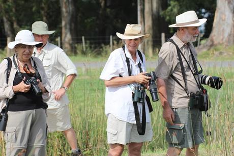 Censo Neotropical de Aves Acuáticas (febrero 2017)