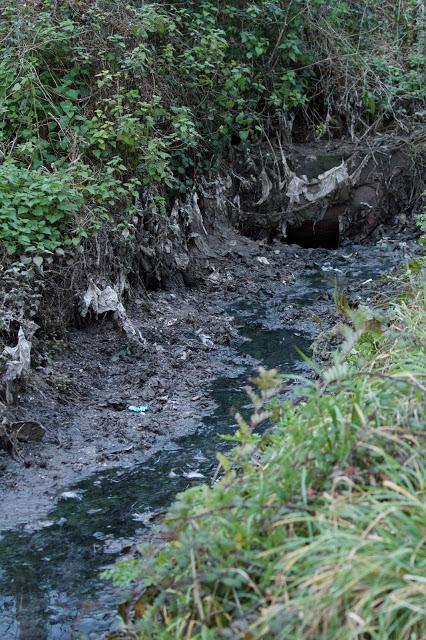 Una visión pesimista de la Ría de la Villa