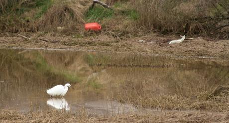 Una visión pesimista de la Ría de la Villa