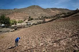 CRISIS HUMANITARIAS (PREVENCION Y RESILIENCIA)