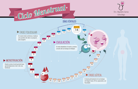 Dolor menstrual ¿por qué se produce y como aliviarlo?