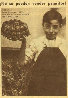 Gastrofestival. Madrid, 1917: Pajaritos a la Diosa (Cibeles) y fritos
