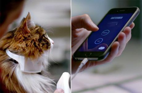 Catterbox - Un collar elegante que traduce los maullidos del gato en lenguaje humano