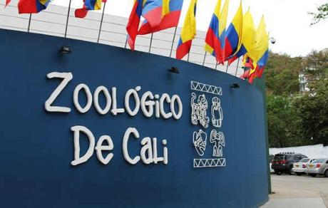 El Zoológico de Cali, un Espacio Para Aprender y Divertirse