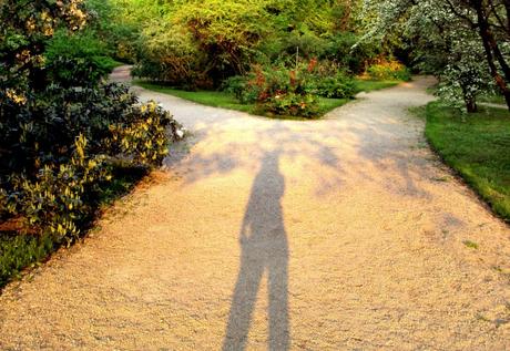 Claves para tomar buenas decisiones Claves para tomar buenas decisiones