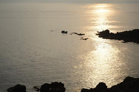 No es un camino de rosas No es un camino de rosas