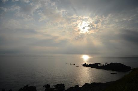 No es un camino de rosas No es un camino de rosas