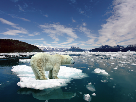 ¿Cómo nos afecta el cambio climático? ¿Cómo nos afecta el cambio climático?
