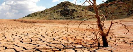 ¿Cómo nos afecta el cambio climático? ¿Cómo nos afecta el cambio climático?