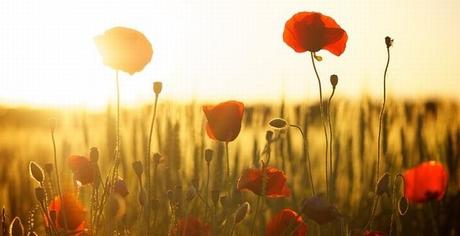 Recuerda Que Hoy Es El Mejor Día De Tu Vida vive cada dia