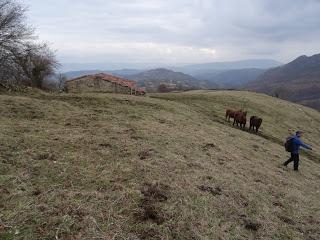 San Andrés de Trubia-Cascadas de Guanga-El Picón de la Bobia-Plantón-Grandamiana