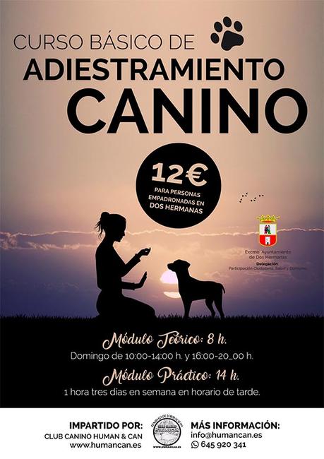 Curso básico de adiestramiento canino Curso básico de adiestramiento canino