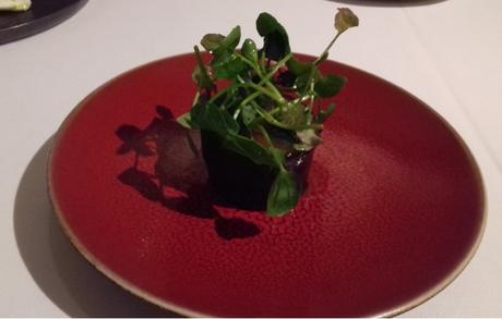 LA COCINA DE XAVIER PELLICER EN HOFFMAN LA COCINA DE XAVIER PELLICER EN HOFFMAN