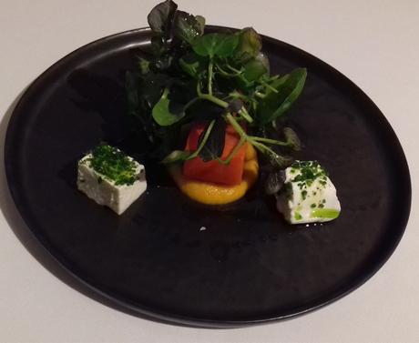 LA COCINA DE XAVIER PELLICER EN HOFFMAN LA COCINA DE XAVIER PELLICER EN HOFFMAN