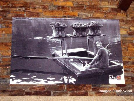 Mencía, #QueSeCepa Mencía, #QueSeCepa