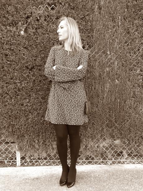 Wool Wool
