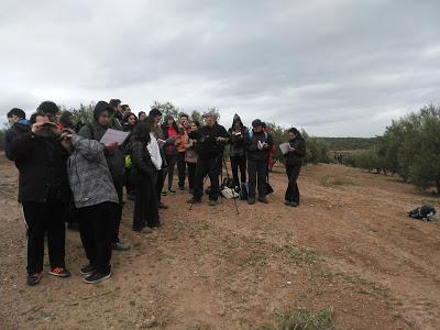 Voluntariado, Reforestación Participativa Voluntariado, Reforestación Participativa