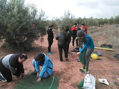 Voluntariado, Reforestación Participativa Voluntariado, Reforestación Participativa