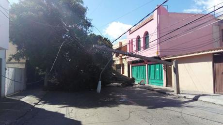 Fuertes vientos causan afectaciones en la ciudad