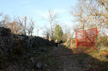 Ruta de la Portilla Bejarana y la ‘Torrita’, un viaje al corazón de Las Batuecas Senda de los Cortinales, en el tramo final de la ruta Portilla Bejarana